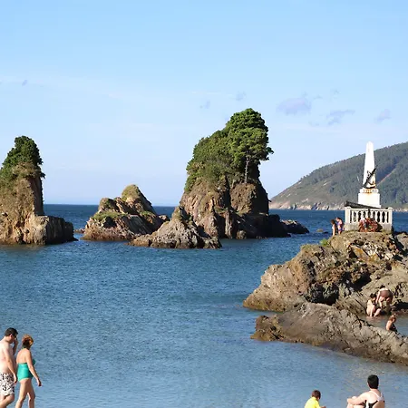 Dolusa Viveiro